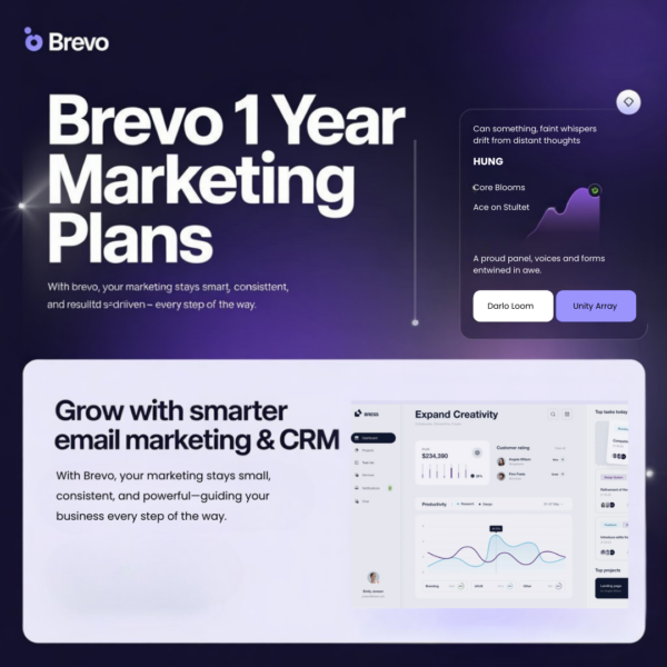 Brevo 1 Year – Marketing Plans