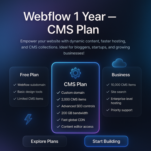 Webflow 1 Year – CMS plan